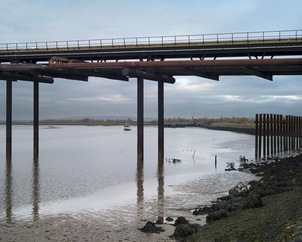 River de Irene del Pino
